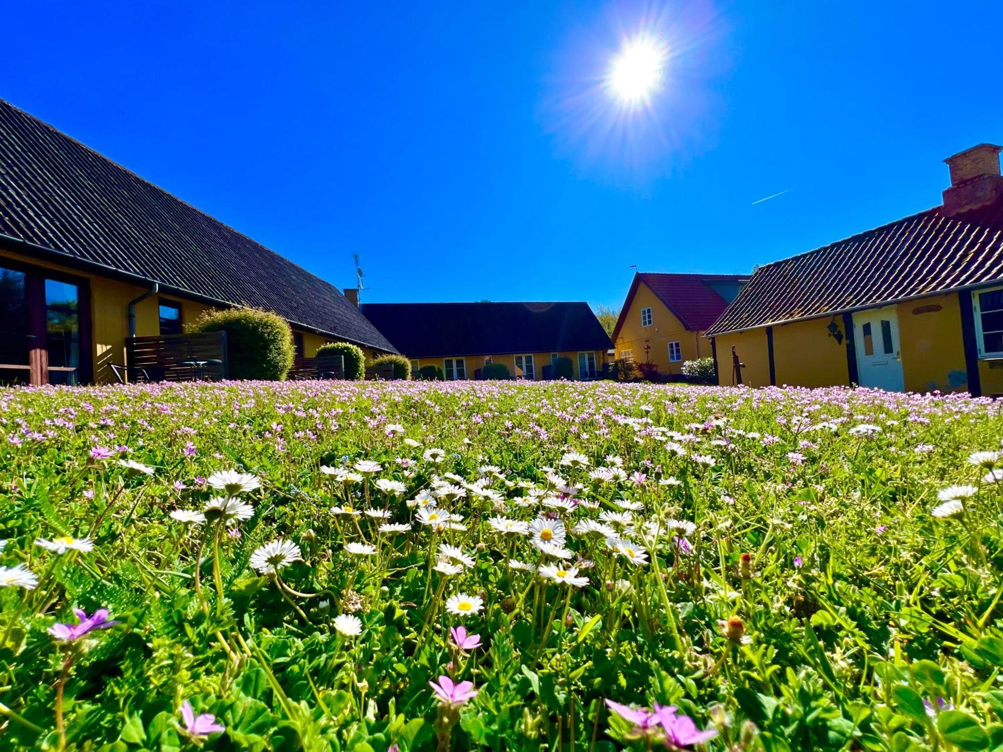 Hotel Skovly Rønne Extérieur photo